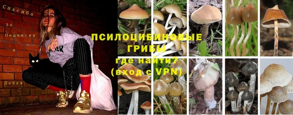 кокаин премиум Волосово